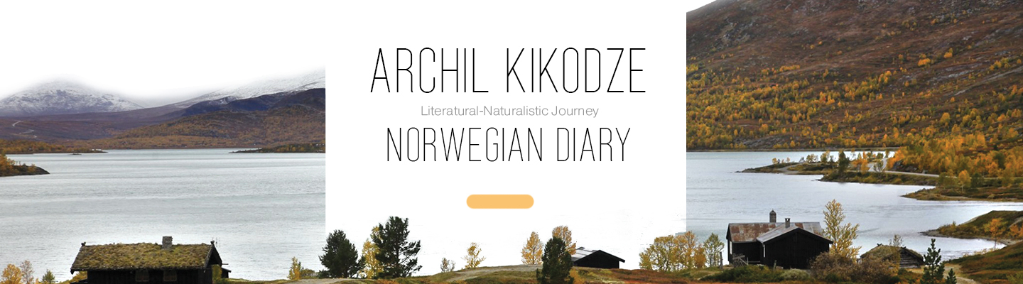 Norwegian-Diary-main